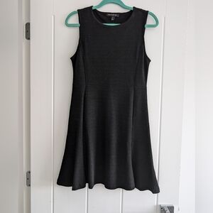 Banana Republic Skater Dress